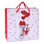 SACO 14,5X15X6CM 3025-002 CX600