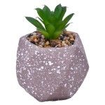 VASO DEC 2574-003 CX72