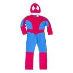 FATO CARNAVAL H.ARANHA 8534/92190 CX12