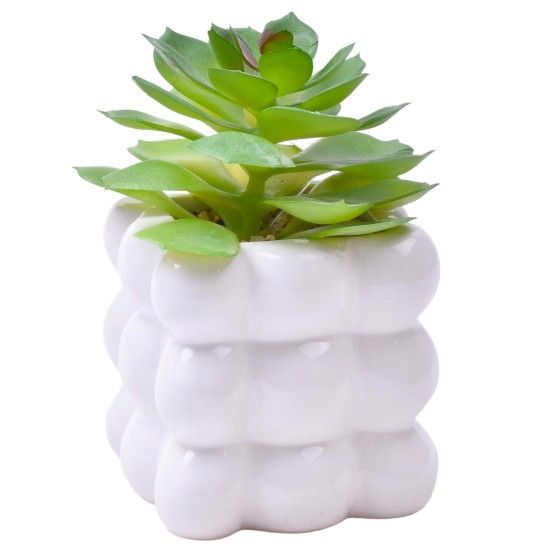PLANTA C/VASO 8X8X8CM 2884-008-01 CX96 PLANTA C/VASO 8X8X8CM 2884-008-01 CX96