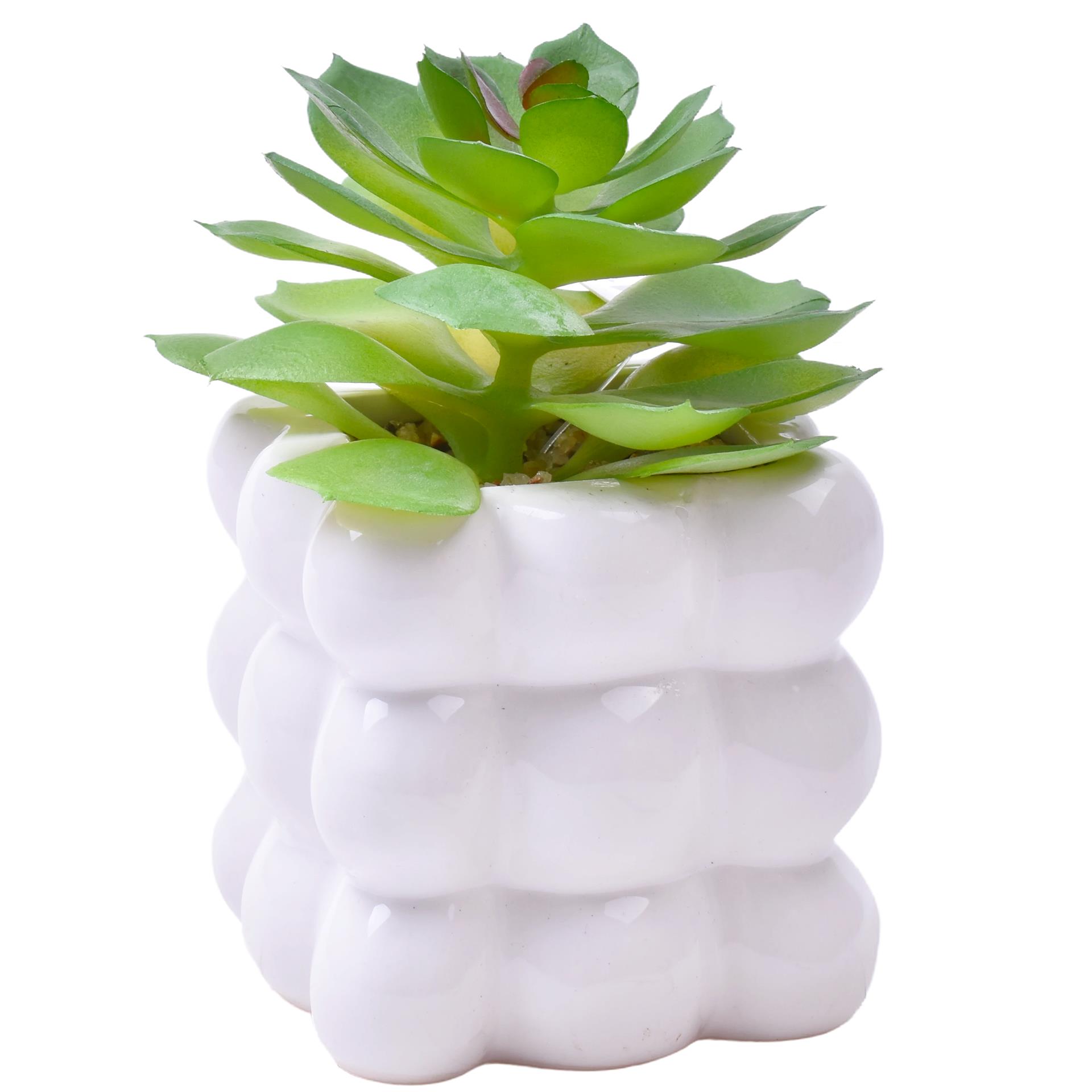 PLANTA C/VASO 8X8X8CM 2884-008-01 CX96 PLANTA C/VASO 8X8X8CM 2884-008-01 CX96