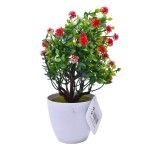 PLANTA VASO 15X23 2440-011 CX144