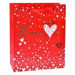 SACO 32X26X12CM 3025-000-02 CX300