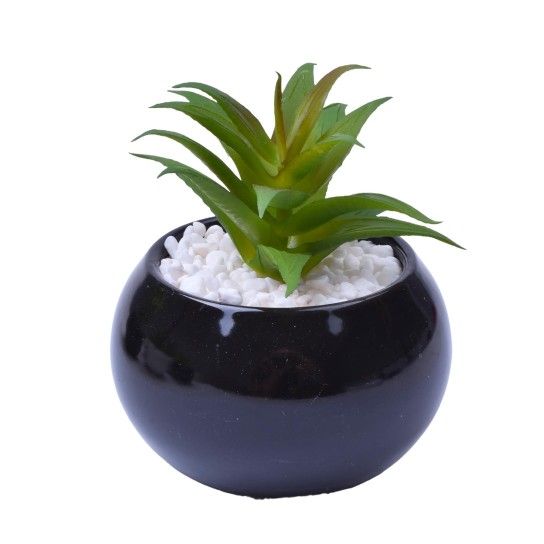 VASO C/CACTO 8,5X6 2070-42 CX48