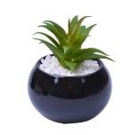 VASO C/CACTO 8,5X6 2070-42 CX48