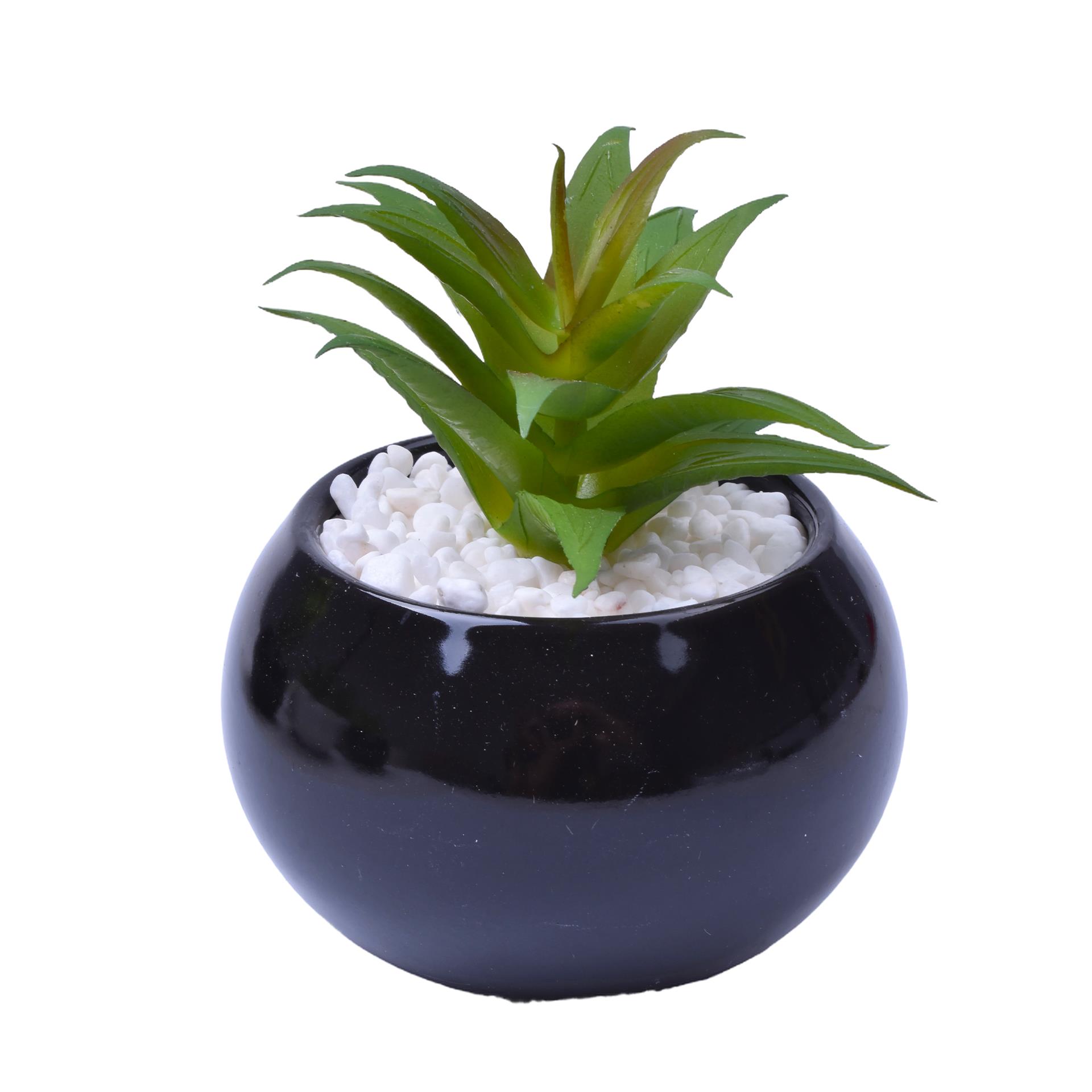 VASO C/CACTO 8,5X6 2070-42 CX48