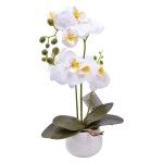 VASO C/FLOR 45 2439-039 CX48