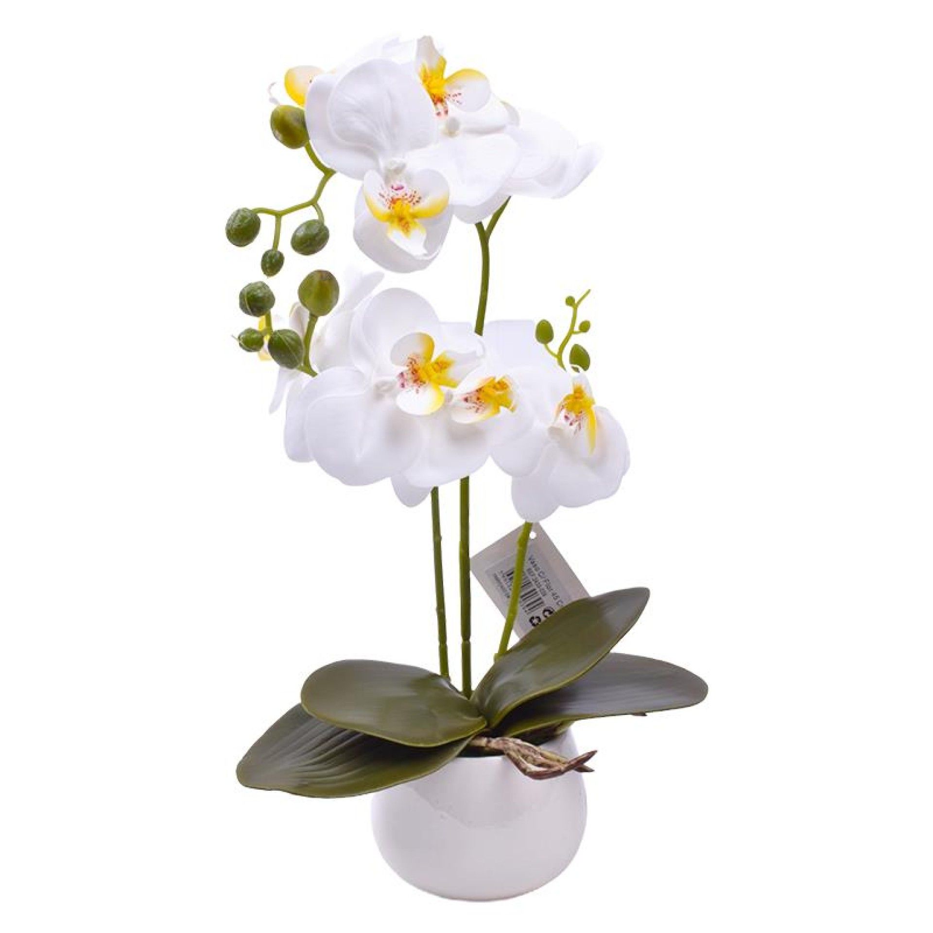 VASO C/FLOR 45 2439-039 CX24 VASO C/FLOR 45 2439-039 CX24