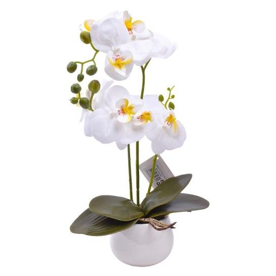 VASO C/FLOR 45 2439-039 CX24 VASO C/FLOR 45 2439-039 CX24