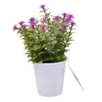 PLANTA C/ VASO 2647-005-01 CX144 PLANTA C/ VASO 2647-005-01 CX144