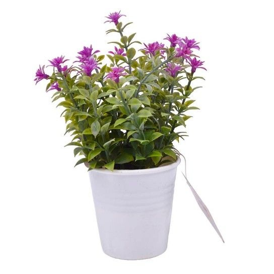 PLANTA C/ VASO 2647-005-01 CX144 PLANTA C/ VASO 2647-005-01 CX144