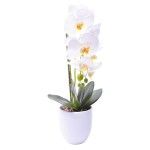 VASO C/FLOR 55CM 2439-049 CX12