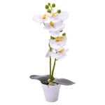 VASO C/FLOR 6X26 2439-028 CX144