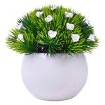PLANTA C/ VASO 2440-021 CX144
