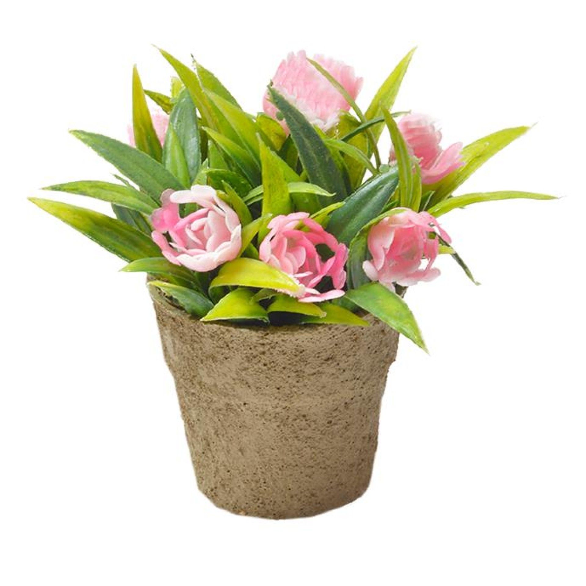 VASINHO PLANTA PLASTICO VASINHO PLANTA PLASTICO