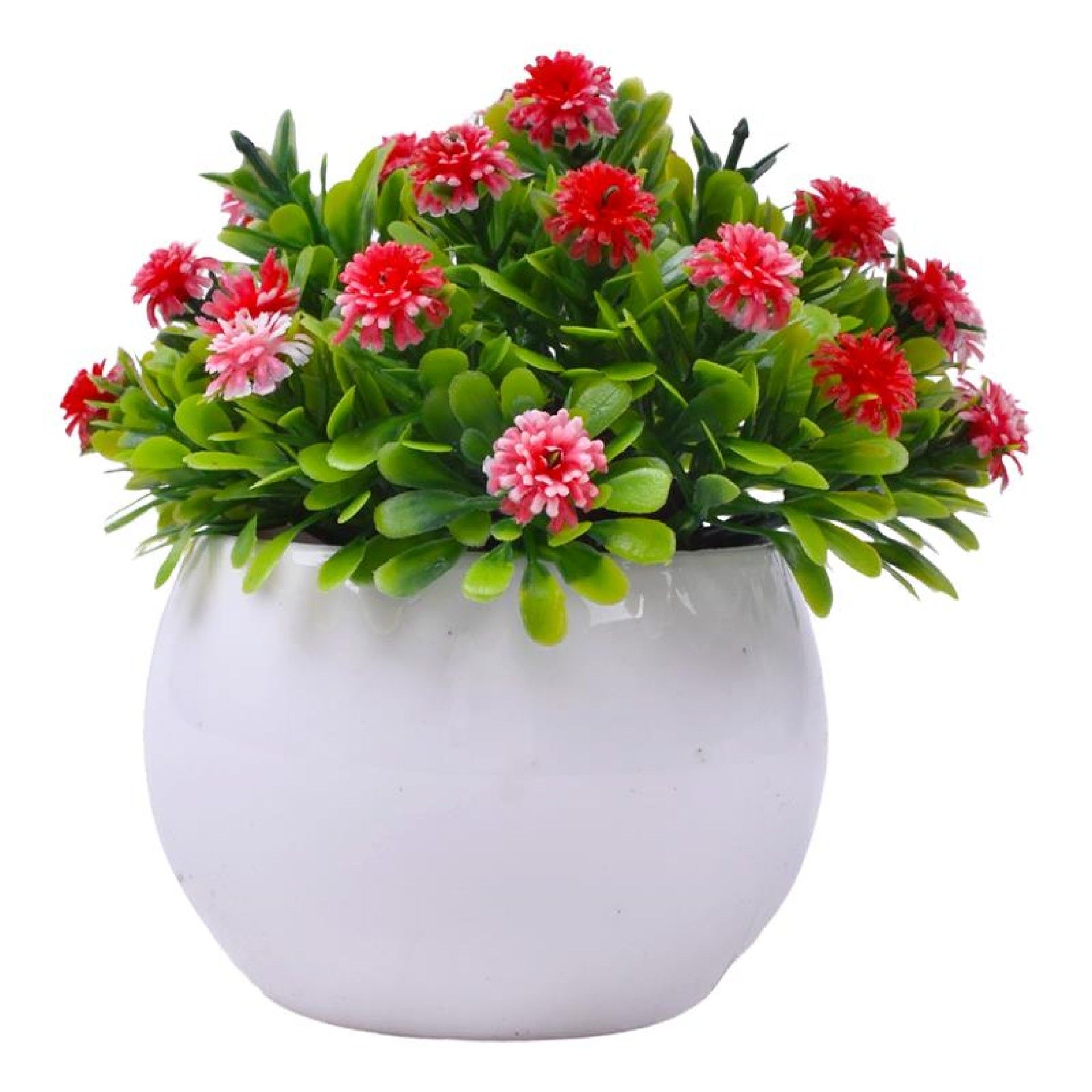 PLANTA C/ VASO 2440-019 CX144 PLANTA C/ VASO 2440-019 CX144