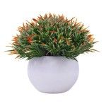 PLANTA C/ VASO 2440-013 CX144