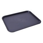BANDEJA 34,5X26,5X1,5 2630-040 CX50