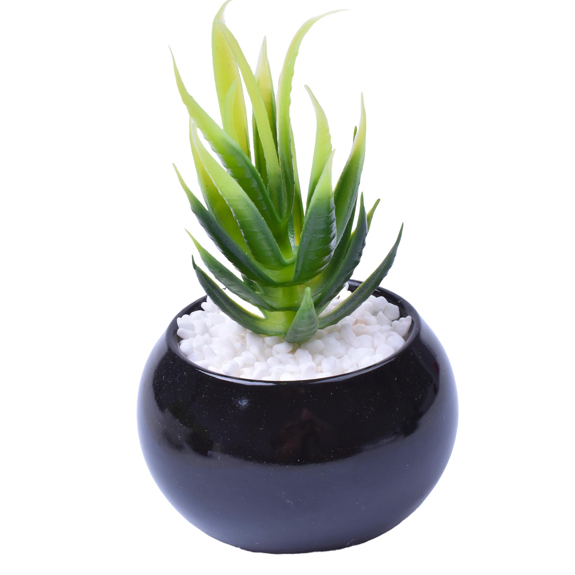 VASO C/CACTO 8,5X6 2070-42 CX48