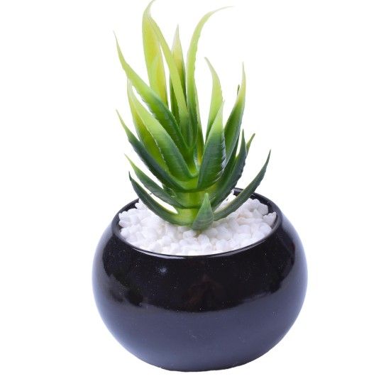 VASO C/CACTO 8,5X6 2070-42 CX48
