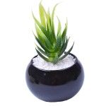 VASO C/CACTO 8,5X6 2070-42 CX48