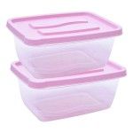 CAIXA PLT SET 2 RECT 2,3L 0947-08 CX36