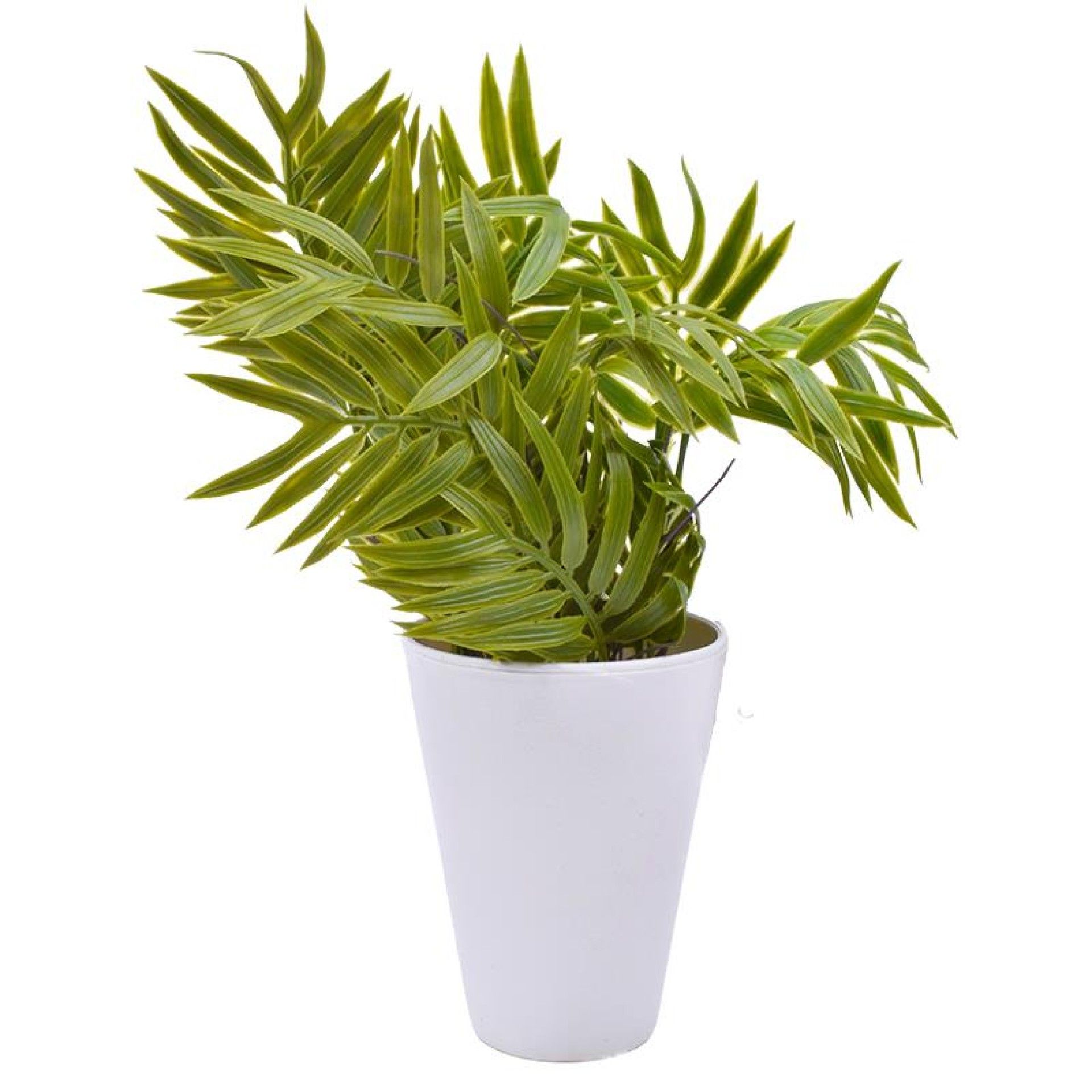 VASO BRANCO FOLHAS LARGAS 2 MOD VASO BRANCO FOLHAS LARGAS 2 MOD