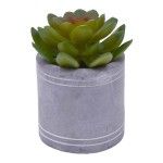 VASO C/CATO 6.3X6.3CM 2639-202 CX96 VASO C/CATO 6.3X6.3CM 2639-202 CX96