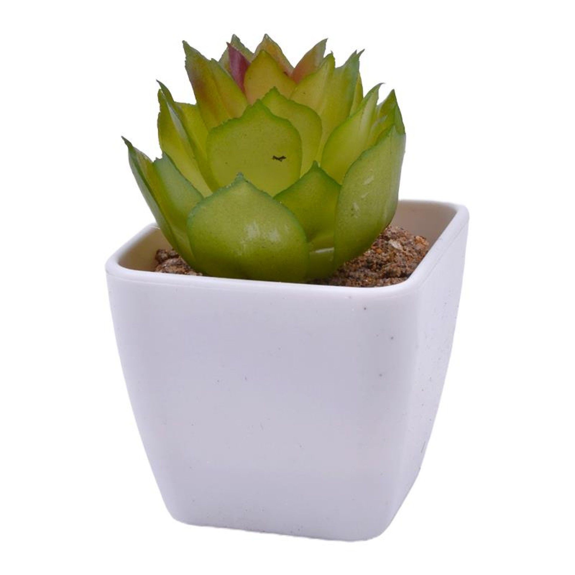 VASO C/CATO 4.5X4.5X4.8CM 2639-000 CX240 VASO C/CATO 4.5X4.5X4.8CM 2639-000 CX240