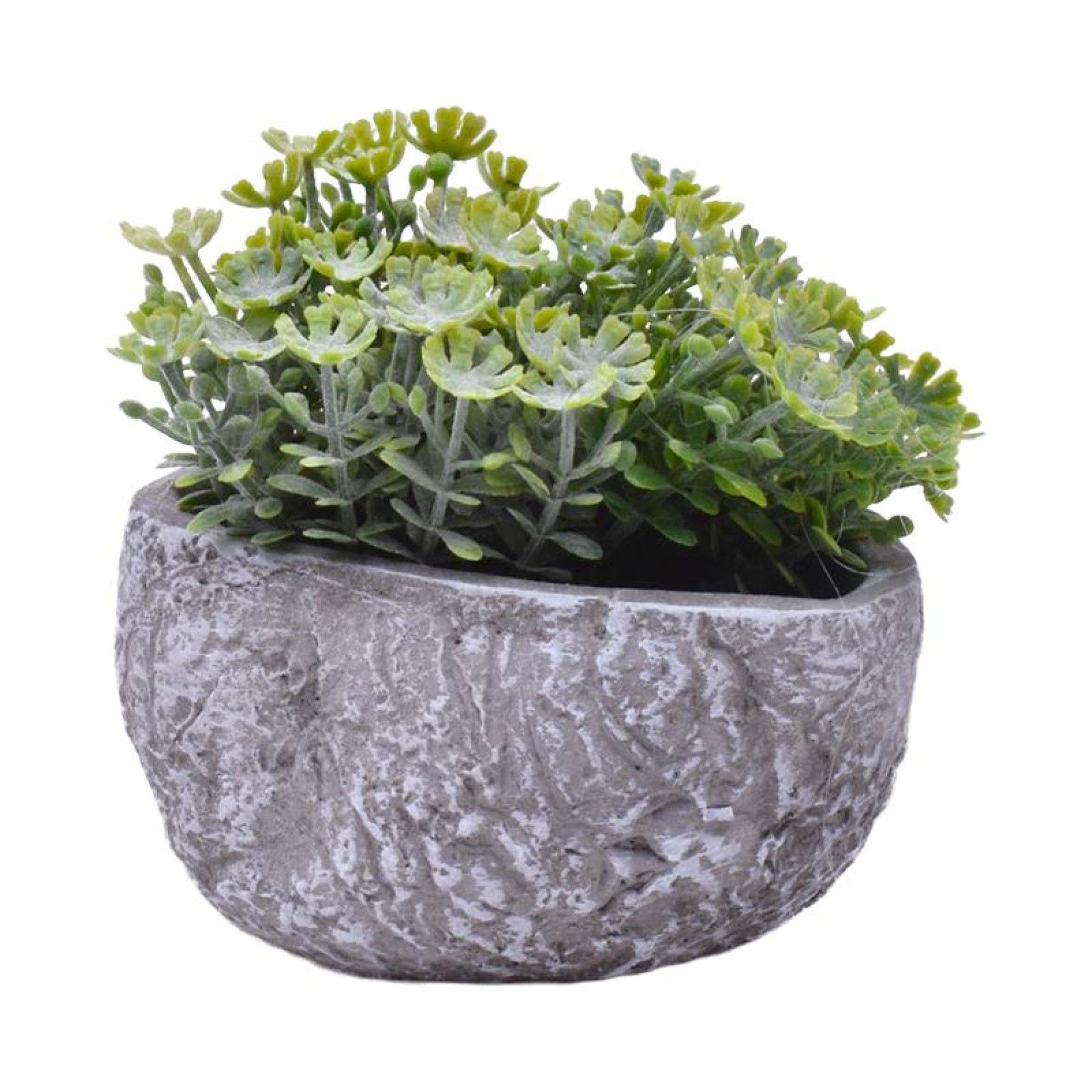 PLANTA C/ VASO 202-996-02 CX96 PLANTA C/ VASO 202-996-02 CX96