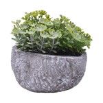 PLANTA C/ VASO 202-996-02 CX96