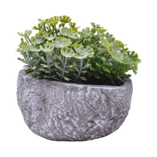PLANTA C/ VASO 202-996-02 CX96 PLANTA C/ VASO 202-996-02 CX96
