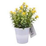 PLANTA C/ VASO 2647-005-01 CX144 PLANTA C/ VASO 2647-005-01 CX144