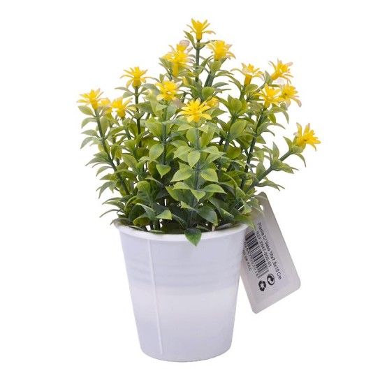 PLANTA C/ VASO 2647-005-01 CX144 PLANTA C/ VASO 2647-005-01 CX144