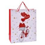 SACO 32X26X12CM 3025-002-02 CX300