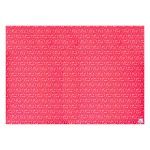 PAPEL EMBRULHO 0,7X1M 042-32 25UN
