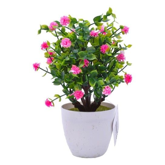 PLANTA VASO 15X23 2440-011 CX144 PLANTA VASO 15X23 2440-011 CX144