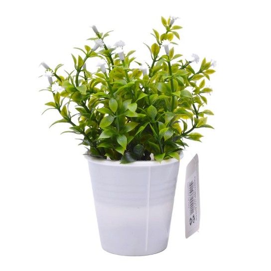 PLANTA C/ VASO 2647-004-01 CX144 PLANTA C/ VASO 2647-004-01 CX144