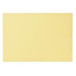 CARTOLINA COR 250 FOLH A4  2940-001-250 CX20