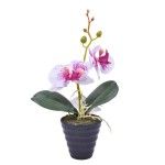 PLANTA C/ VASO 2647-101 CX144