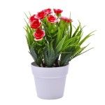PLANTA VASO 10X20 2440-008 CX216