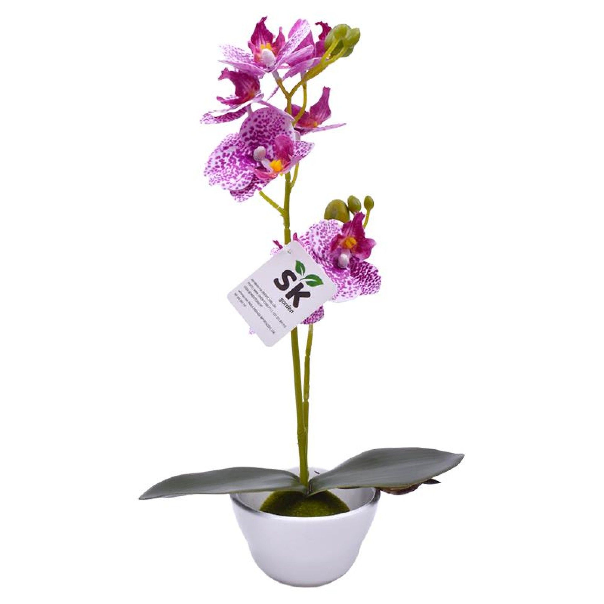 VASO C/FLOR 9X32 2439-035 CX72 VASO C/FLOR 9X32 2439-035 CX72