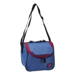 LANCHEIRA TERM.20X15X21CM 411-741 CX60