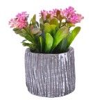 PLANTA C/ VASO 202-996-01 CX96