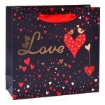 SACO 14,5X15X6CM 3025-000 CX600