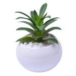 VASO C/CACTO 8,5X6 2070-42 CX48