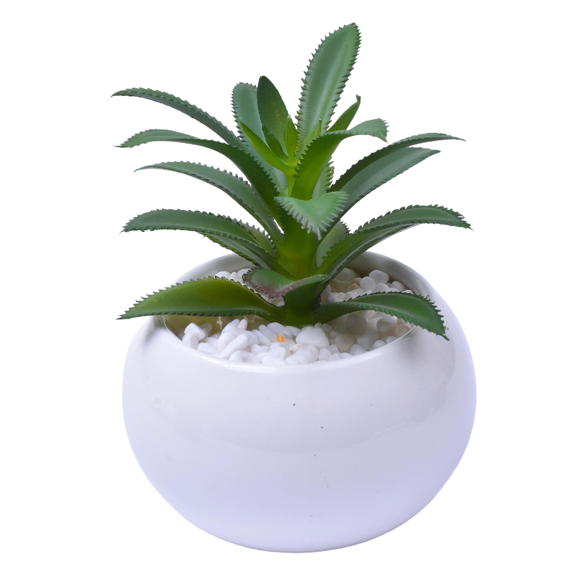 VASO C/CACTO 8,5X6 2070-42 CX48