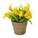 VASINHO PLANTA PLASTICO VASINHO PLANTA PLASTICO