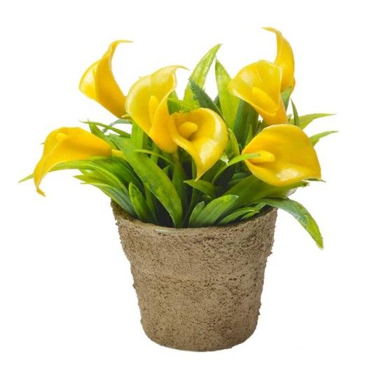 VASINHO PLANTA PLASTICO VASINHO PLANTA PLASTICO