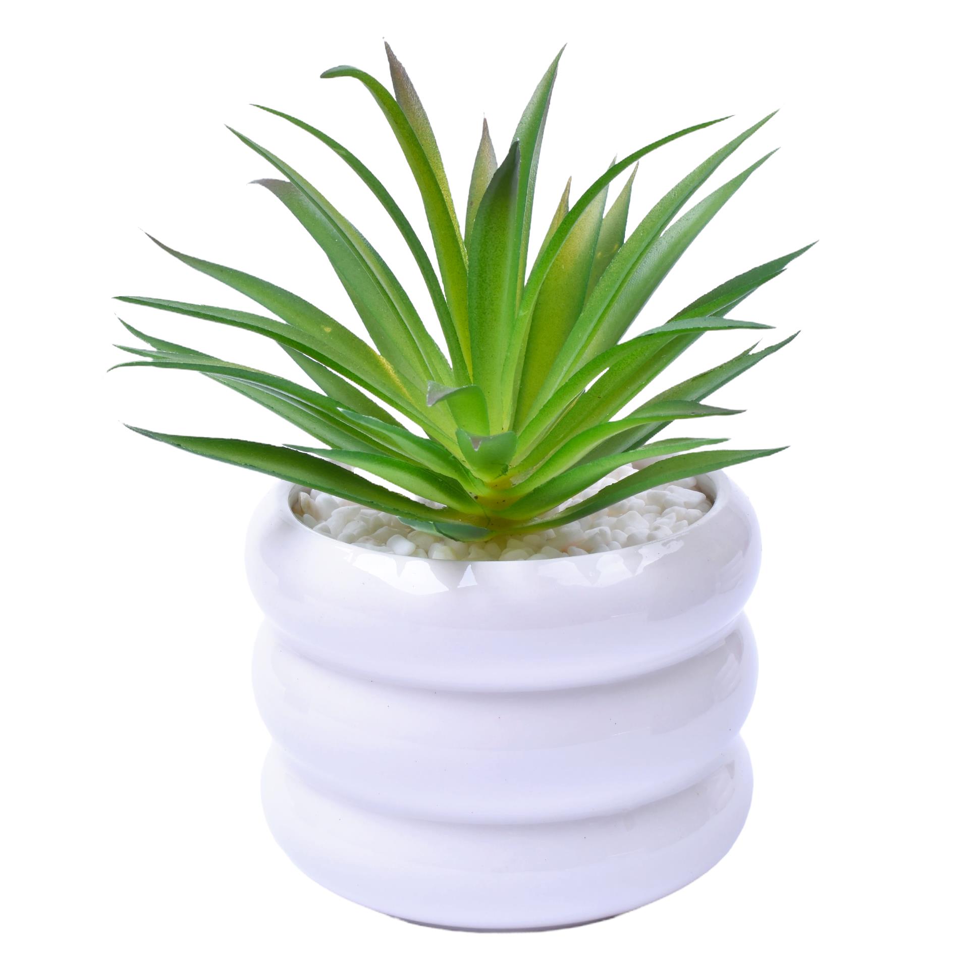VASO C/CACTO 8,5X7 2070-43 CX48 VASO C/CACTO 8,5X7 2070-43 CX48